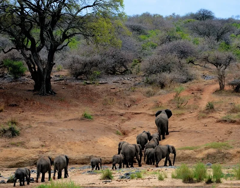 Kakadu National Park│Beauty, Diversity, and Adversity in the Kakadu National Park in Australia