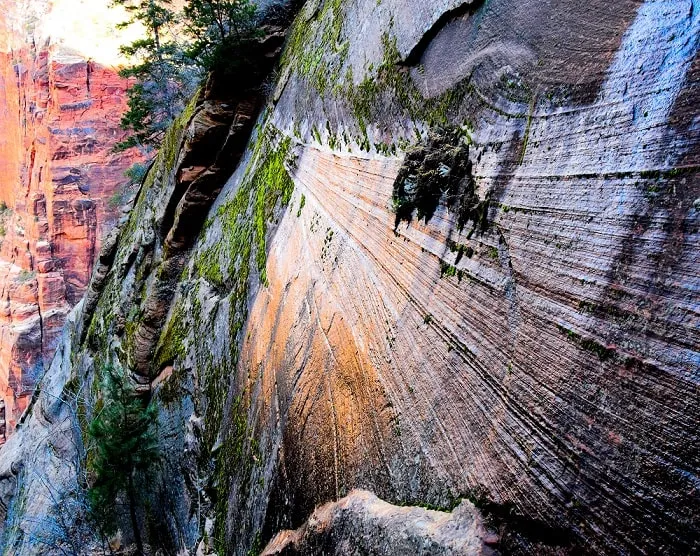 Can you Park inside Zion National Park?”