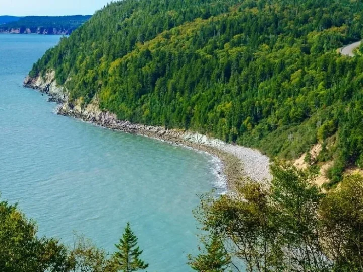 Fundy National Park: Best Time To Visit And Things To Do In Fundy National Park