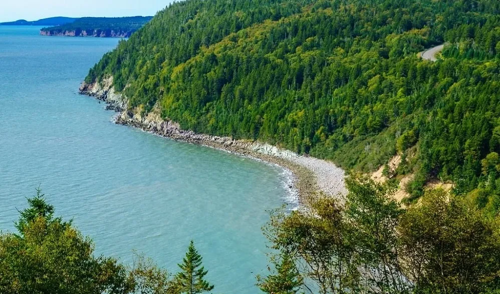 Fundy National Park: Best Time To Visit And Things To Do In Fundy National Park