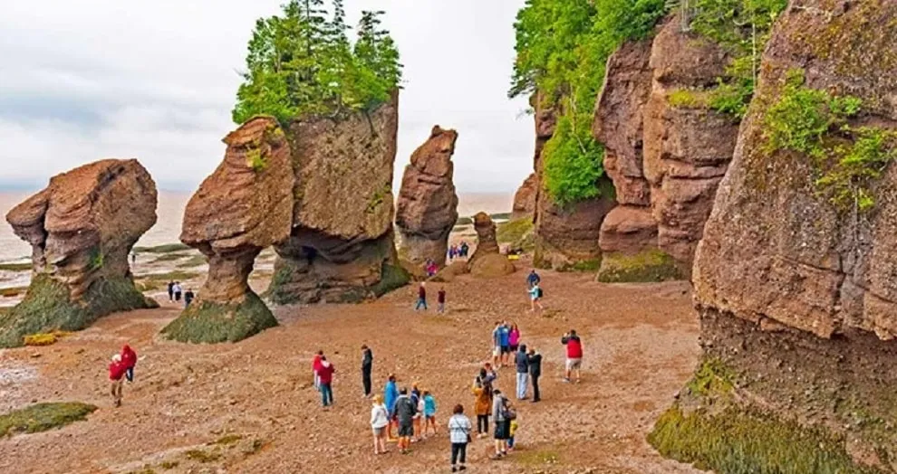 Fundy National Park: Best Time To Visit And Things To Do In Fundy National Park