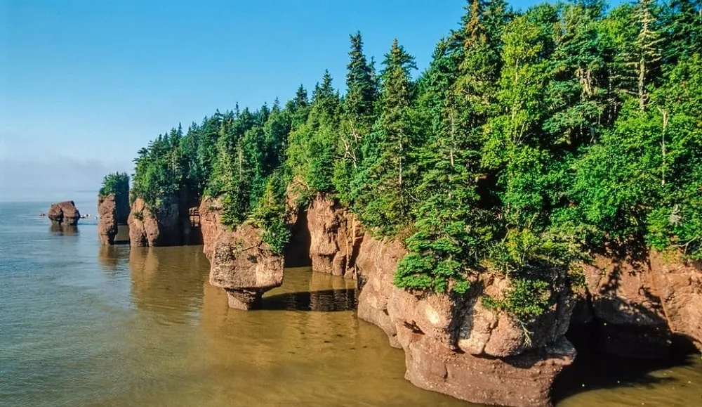 Fundy National Park: Best Time To Visit And Things To Do In Fundy National Park