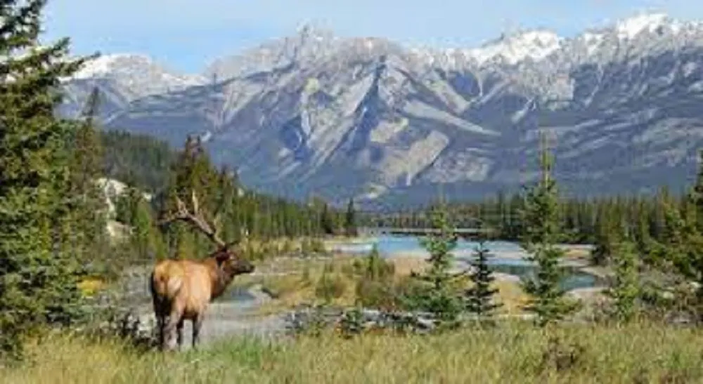 Jasper National Park