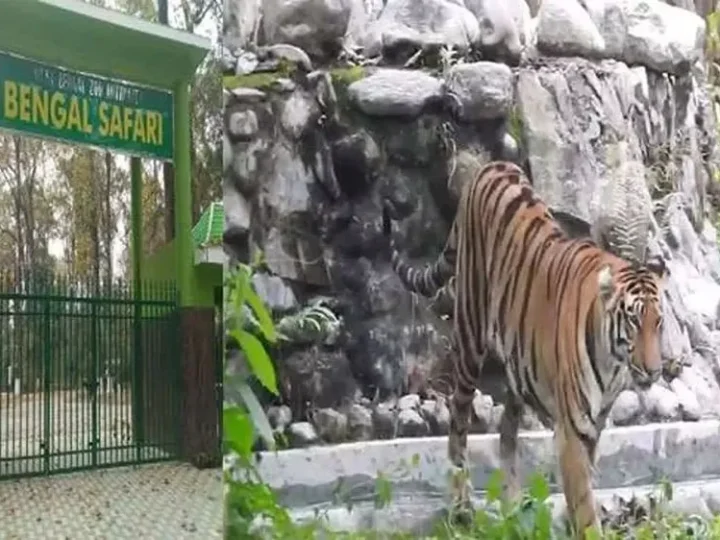 सिलीगुड़ी से बंगाल सफारी कैसे जाए (How to  Reach Bengal Safari from Siliguri in Hindi)