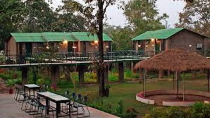 Bandhavgarh Forest Rest House