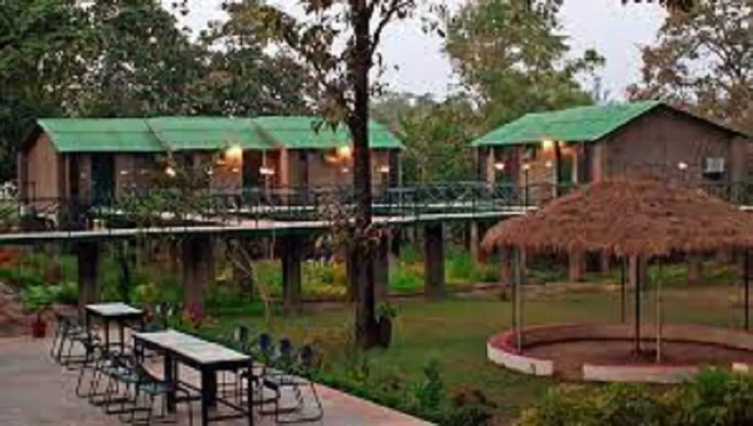 Bandhavgarh Forest Rest House