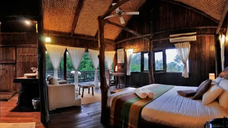 Bandhavgarh National Park Accommodation