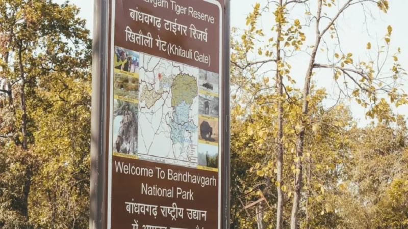 Bandhavgarh National Park Entry Fee