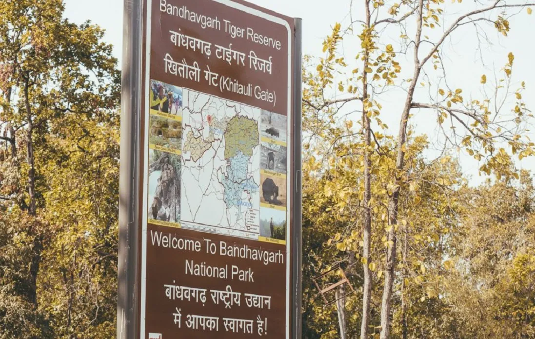 Bandhavgarh National Park Entry Fee