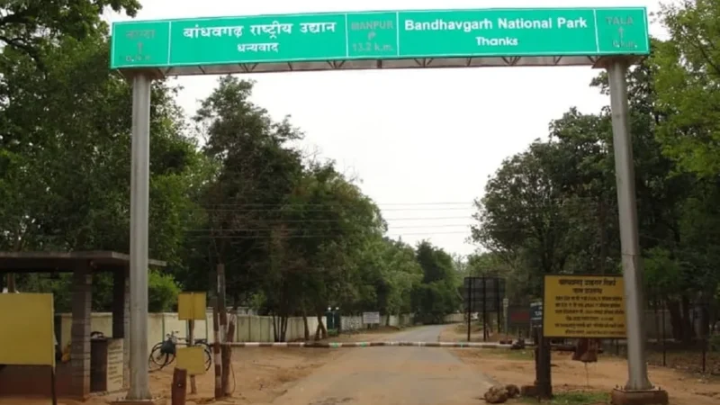 Bandhavgarh National Park Kahan Hai