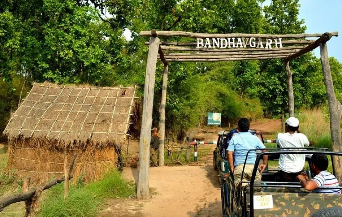 Bandhavgarh National Park Safari Booking