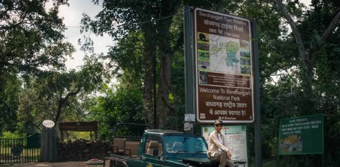 Bandhavgarh National Park Timings