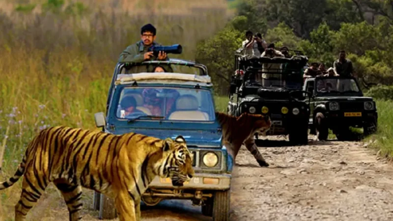 Booking for Jim Corbett National Park-जिम कॉर्बेट नेशनल पार्क की बुकिंग और टिकट रेट