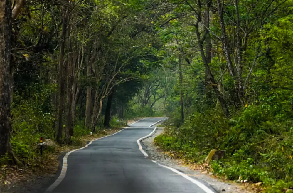 Delhi to Jim Corbett Distance by Road