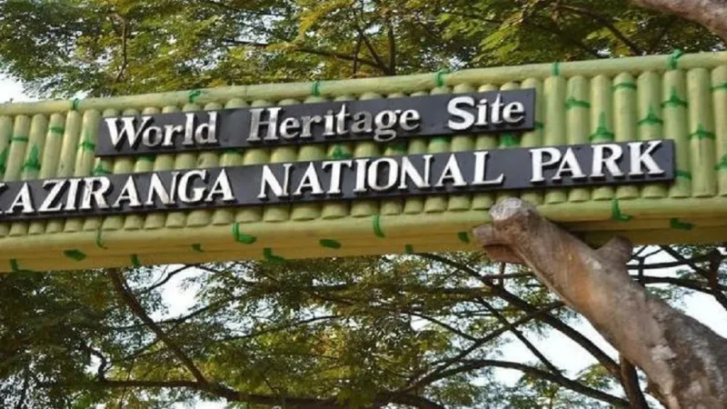 Gate in Kaziranga National Park