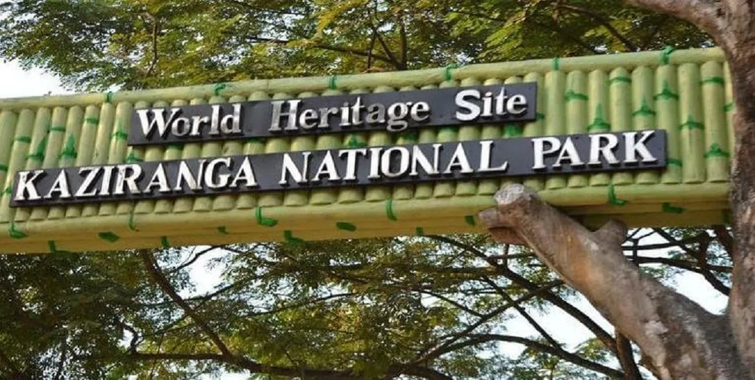 Gate in Kaziranga National Park