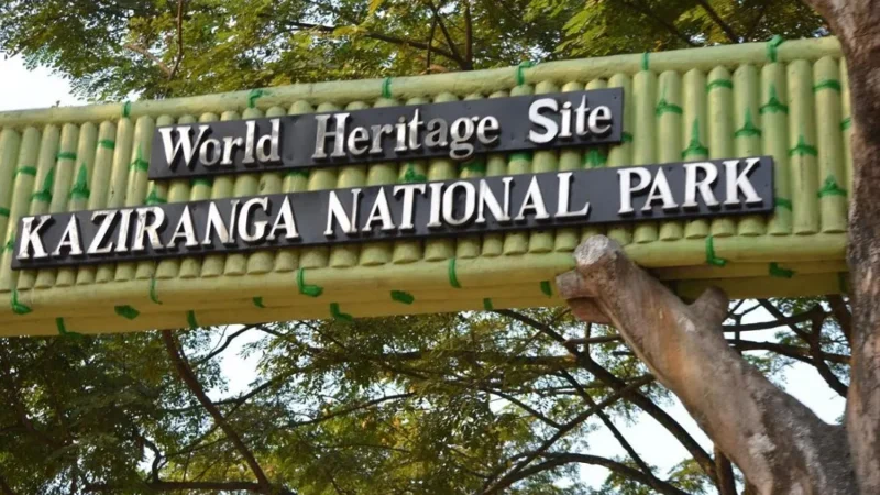 History of Kaziranga National Park