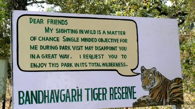 How To Reach Bandhavgarh National Park From Kolkata