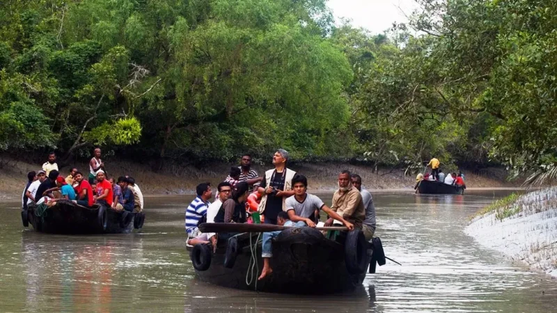 How to Reach Sundarban National Park: Routes, Modes of Transportation and Tips