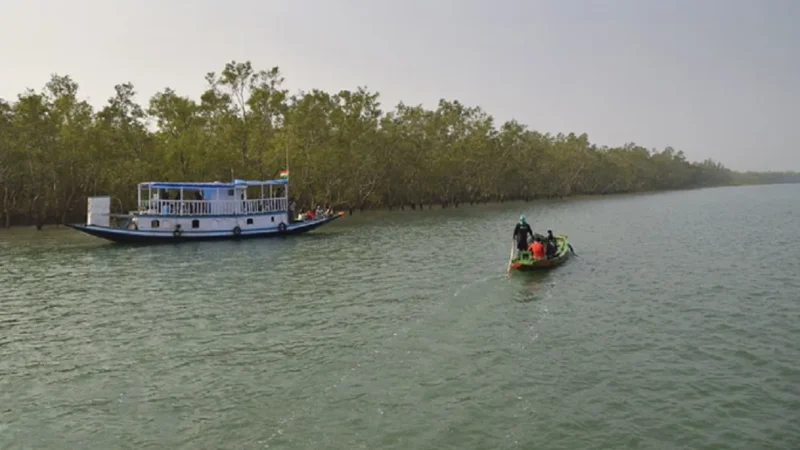 How to Reach Sundarban National Park From Kolkata