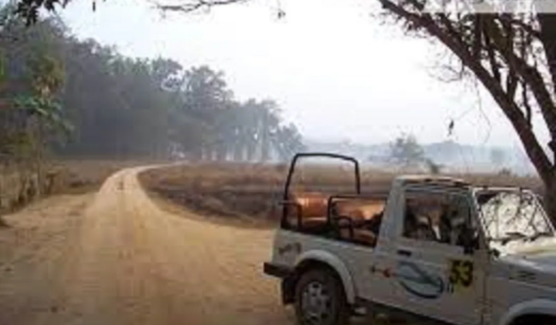 Jabalpur to Bandhavgarh National Park Distance by Road-