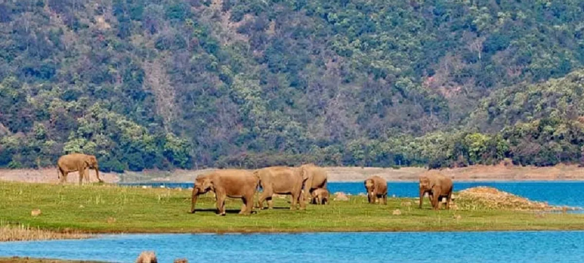 Jim Corbett Best Time to Visit-जिम कॉर्बेट नेशनल पार्क घूमने का उचित समय