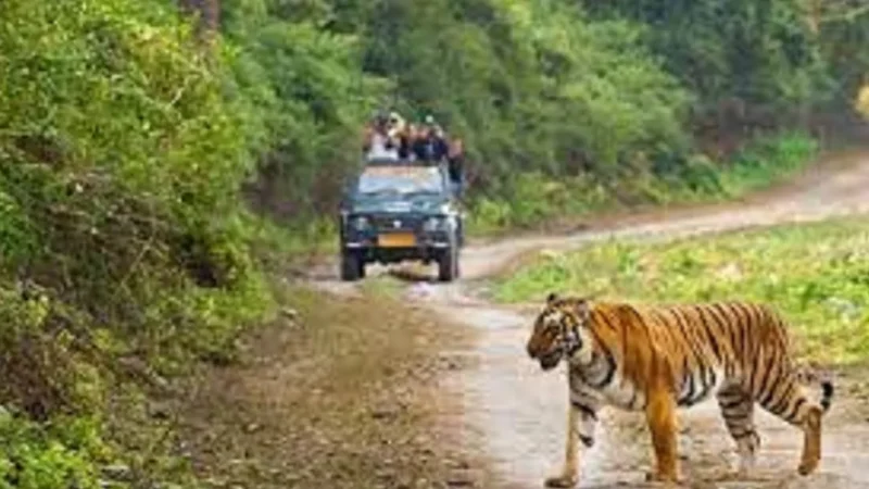 Jim Corbett National Park Kahan Hai-जिम कॉर्बेट राष्ट्रीय उद्यान कहा पर स्थित है