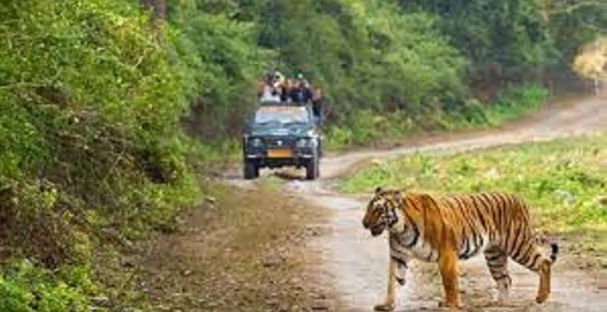 Jim Corbett National Park Kahan Hai-जिम कॉर्बेट राष्ट्रीय उद्यान कहा पर स्थित है