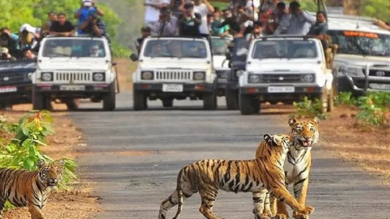 Jim Corbett National Park New Name-जिम कॉर्बेट नेशनल पार्क का नया नाम