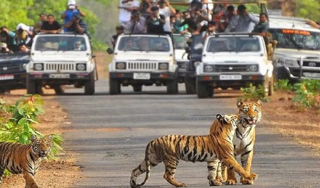 Jim Corbett National Park New Name-जिम कॉर्बेट नेशनल पार्क का नया नाम