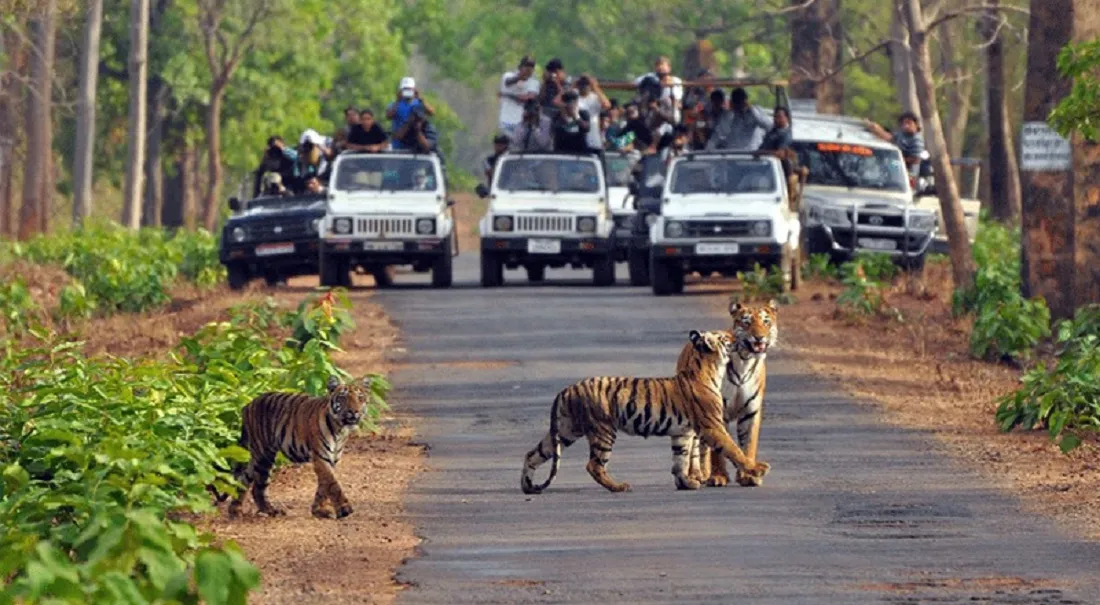 Jim Corbett National Park Timings And Entry Fee-जिम कॉर्बेट नेशनल पार्क का समय व् प्रवेश शुल्क