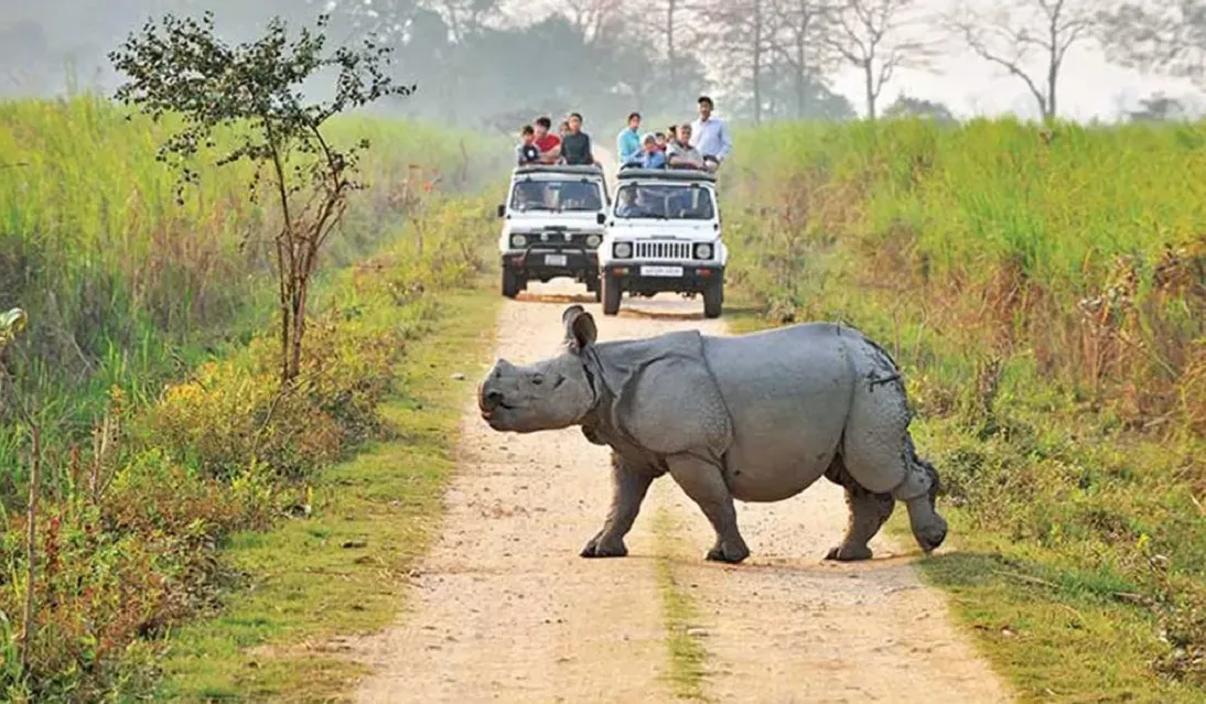 Kaziranga National Park Famous For:  One-Horned Rhinoceros, Diverse Range of Wildlife and Historical Site