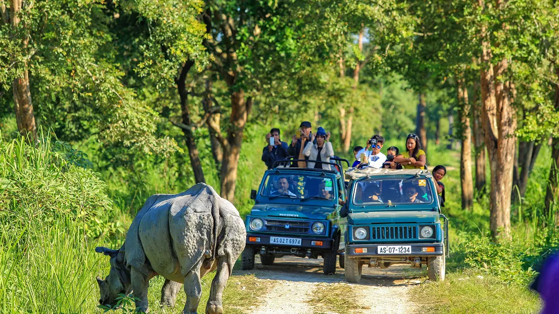 Kaziranga National Park Jeep Safari