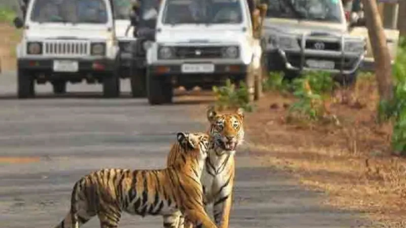 Kaziranga National Park Kahan Sthit Hai