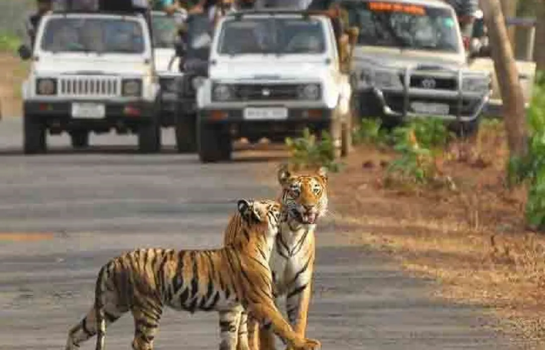 Kaziranga National Park Kahan Sthit Hai