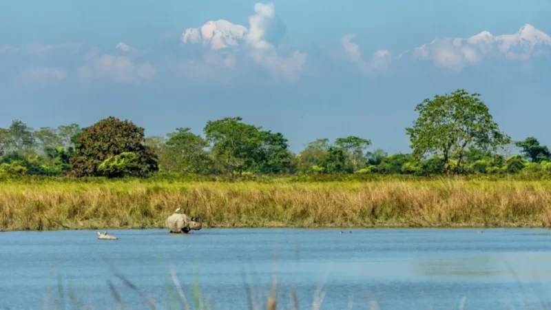 Kaziranga National Park Weather