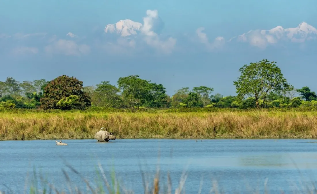 Kaziranga National Park Weather