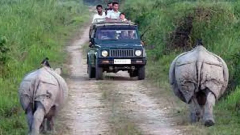 Kaziranga National Park From Guwahati