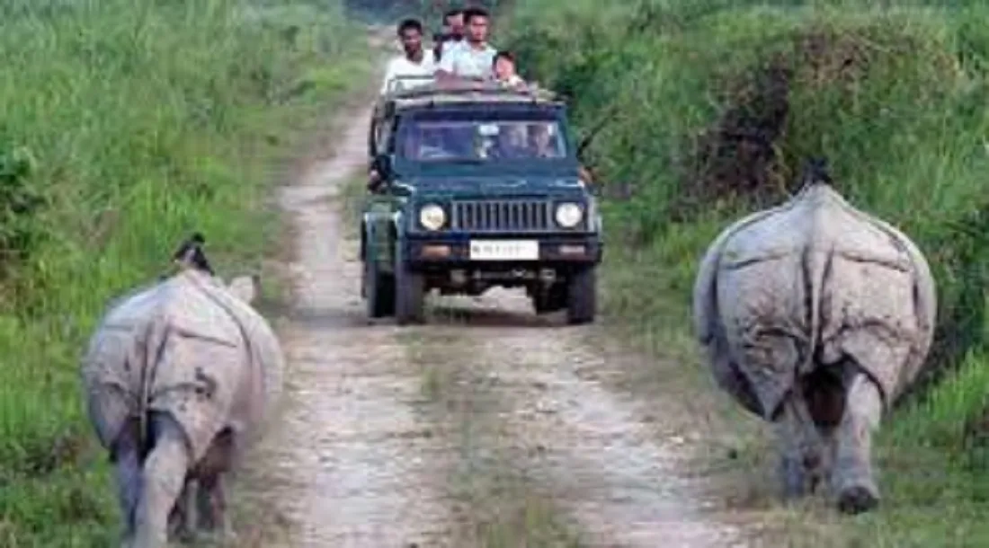 Kaziranga National Park From Guwahati