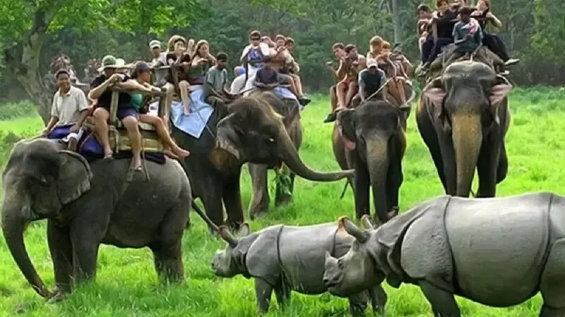 Kaziranga national Park Open Months