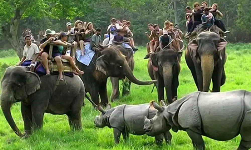 Kaziranga national Park Open Months