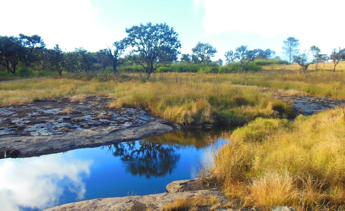 National Parks in Mizoram- मिज़ोरम में स्थित नेशनल पार्क की जानकारी