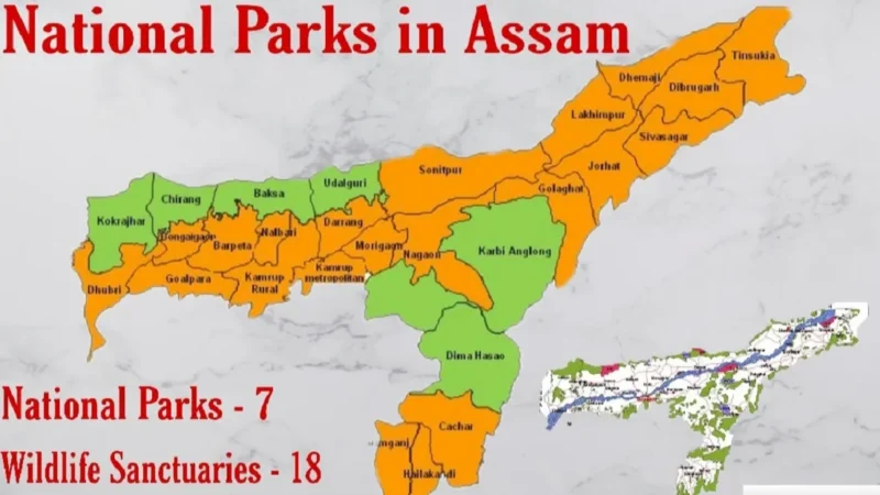 National Parks in Assam-असम में पाए जाने वाले राष्ट्रीय उद्यान की जानकारी