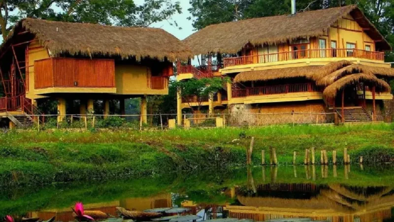 Resorts in Kaziranga National Park