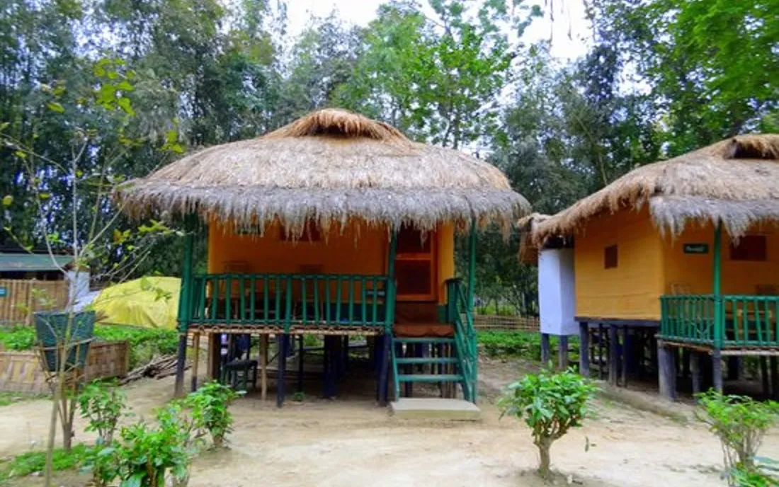 Stay in Kaziranga National Park