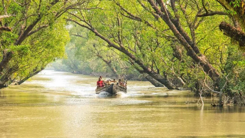 Sundarban National Park Tourism: A Journey into the Wild