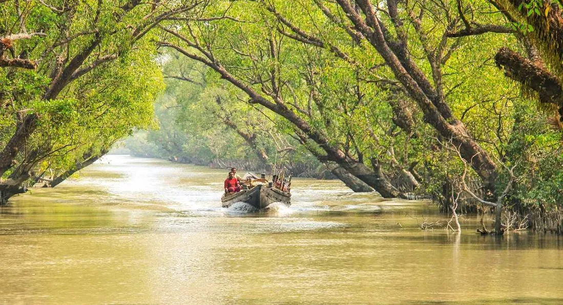 Sundarban National Park Tourism: A Journey into the Wild