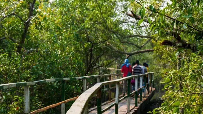 Sundarban National Park Website