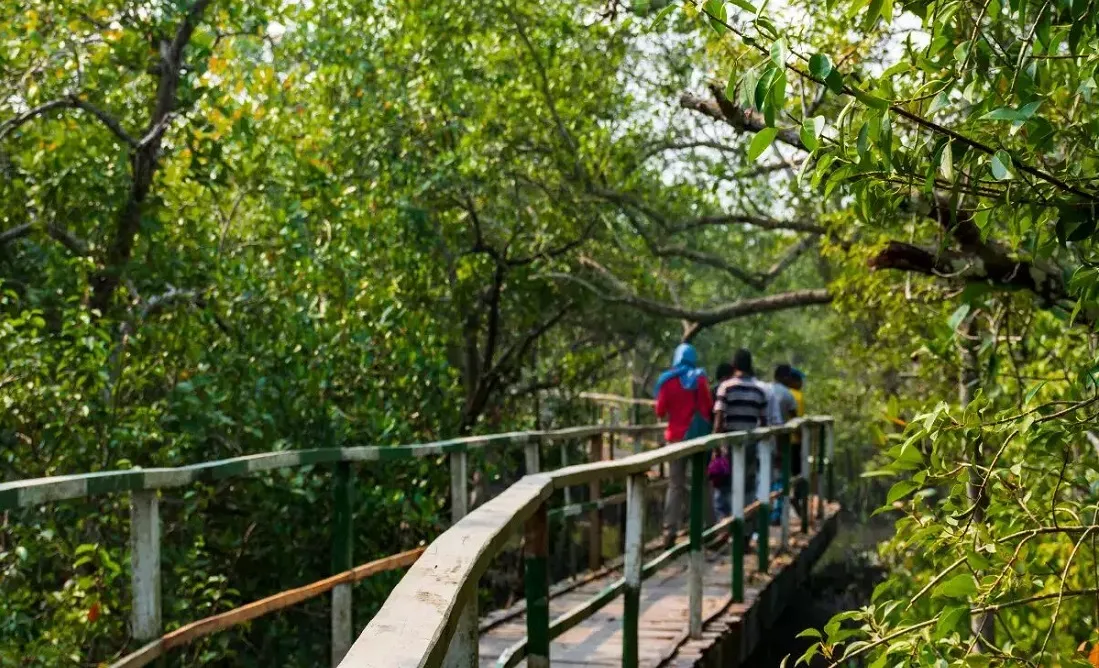 Sundarban National Park Website