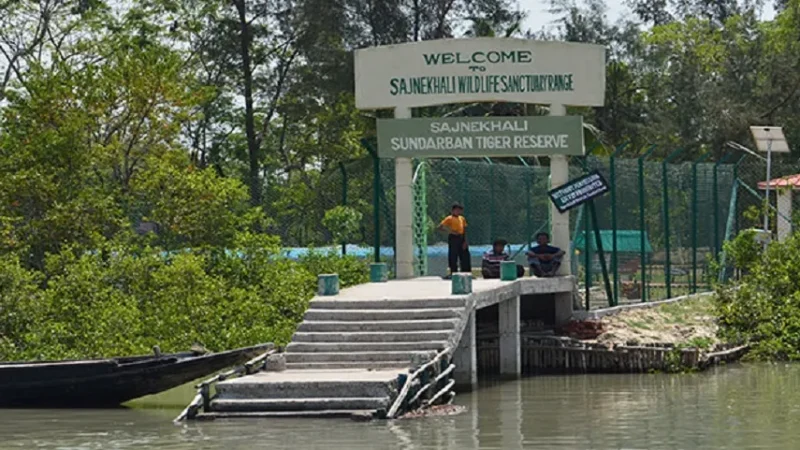 Sundarbans National Park Ticket Price: A Guide to Entry Fees and Other Costs